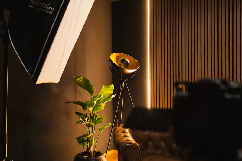Softbox, Stehleuchte und Pflanze neben der beleuchteten Holzlamellenwand, Kamera im Vordergrund